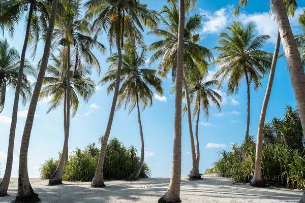 Quels hébergements en Dordogne proposent des séjours avec des ateliers de cuisine et des excursions en bateau?