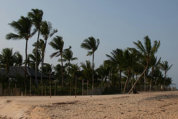 Comment découvrir les traditions de la pêche en Suède sans frais supplémentaires ?